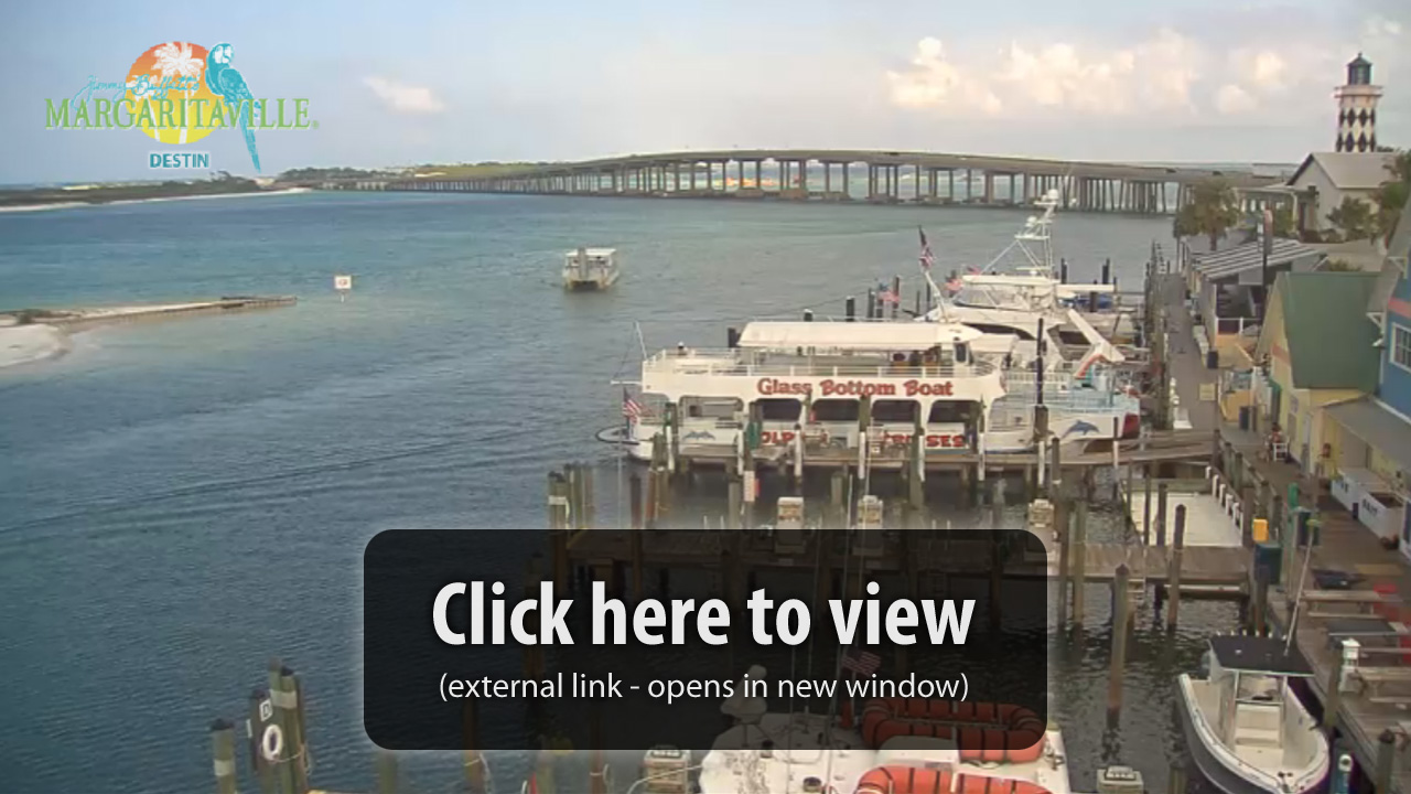 Margaritaville Live Cam Margaritaville Live Cam
